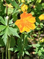 Opracowanie: redakcja serwisu Murator